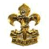 The King's Regiment (Manchester and Liverpool)